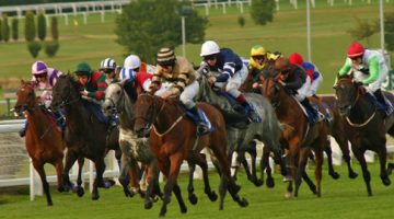 como assistir a corridas de cavalos ao vivo e grátis
