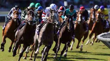 Apostas progressivas nas corridas de cavalos