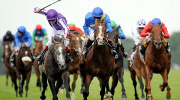 Apostas em corridas de cavalos com Win ou Place